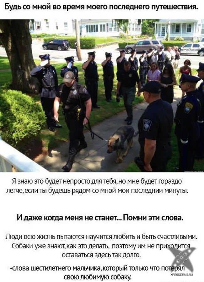 Берегите своих питомцев