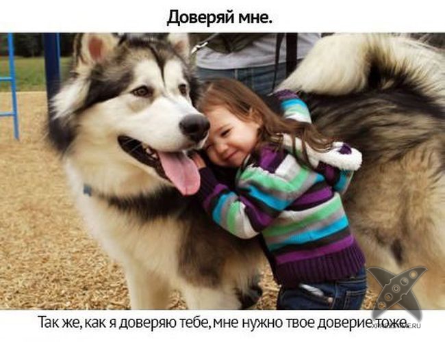 Берегите своих питомцев