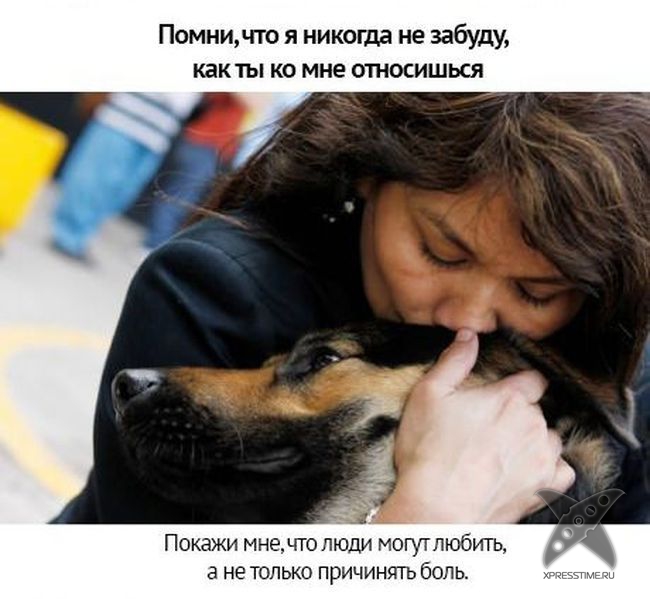 Берегите своих питомцев