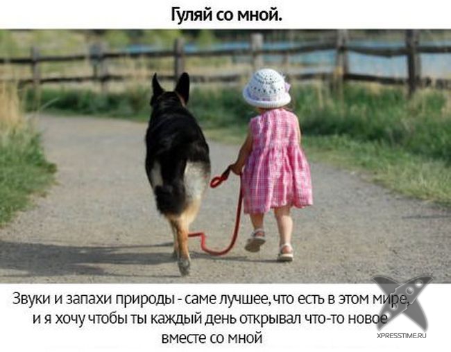 Берегите своих питомцев