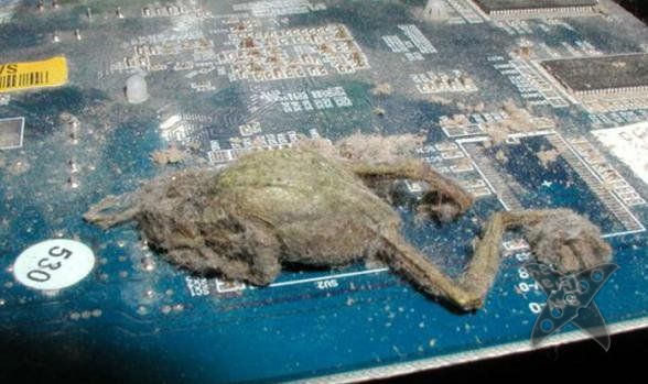 Кошмар сисадмина