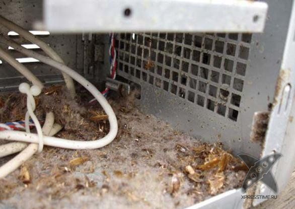 Кошмар сисадмина