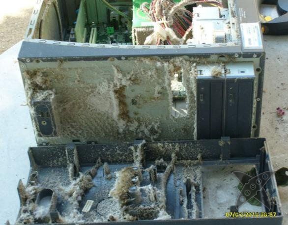 Кошмар сисадмина