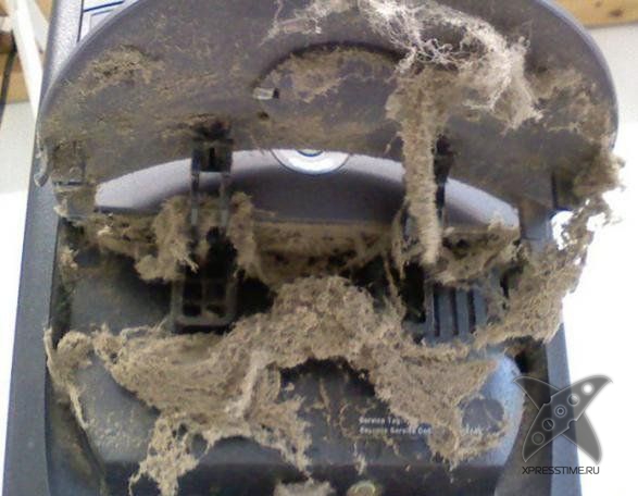 Кошмар сисадмина