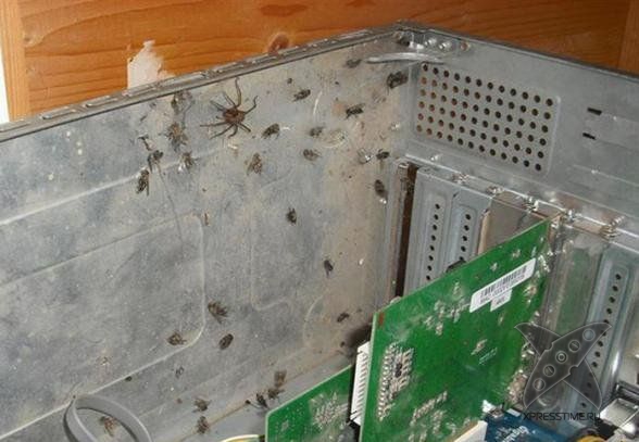 Кошмар сисадмина