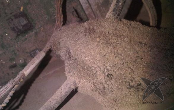 Кошмар сисадмина