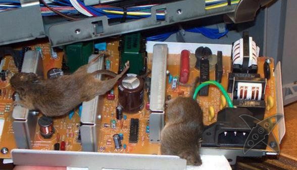 Кошмар сисадмина