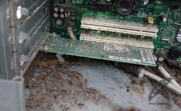 Кошмар сисадмина