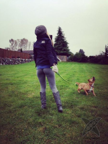 Девушки в обтягивающих штанах