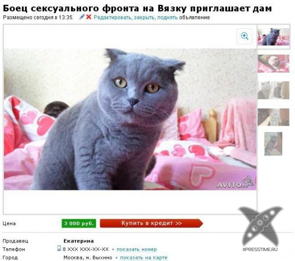 Смешные рекламы на Avito