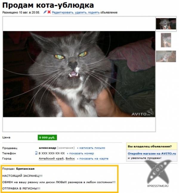 Смешные рекламы на Avito