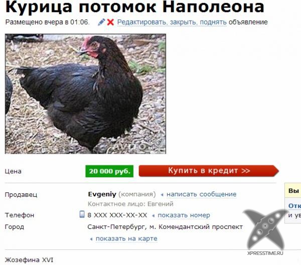 Смешные рекламы на Avito