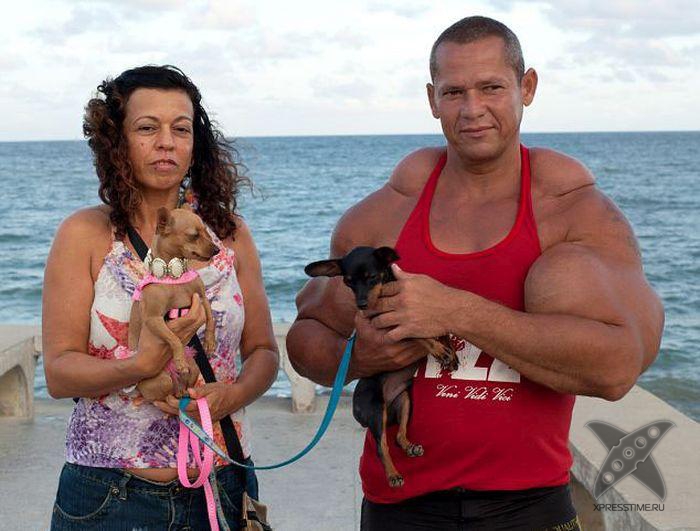 Очередная жертва синтола