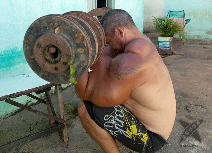 Очередная жертва синтола