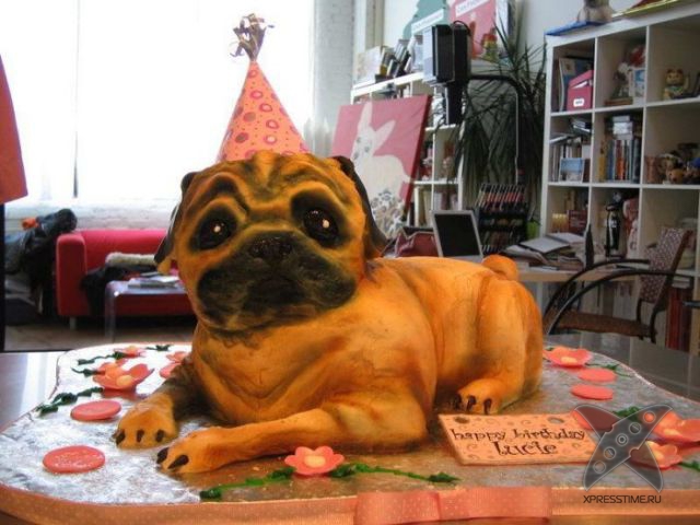 Оригинальные торты