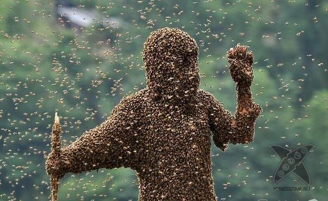 Последствия укуса пчелы