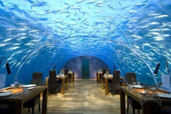 5 ресторанов, небезопасных для вашей жизни