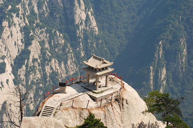 5 ресторанов, небезопасных для вашей жизни