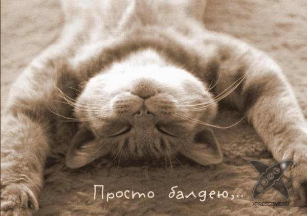 Причины головной боли и борьба с ней