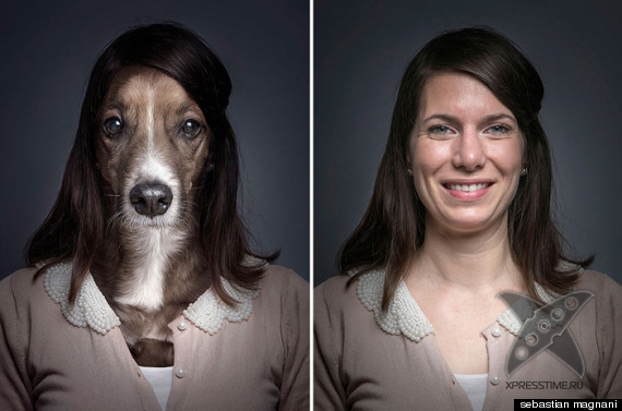 Собаки и их хозяева