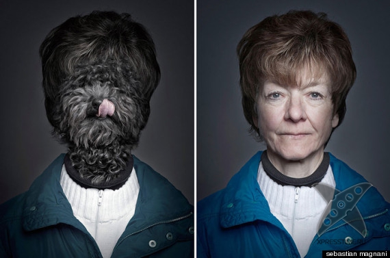 Собаки и их хозяева