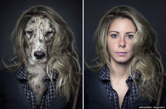 Собаки и их хозяева