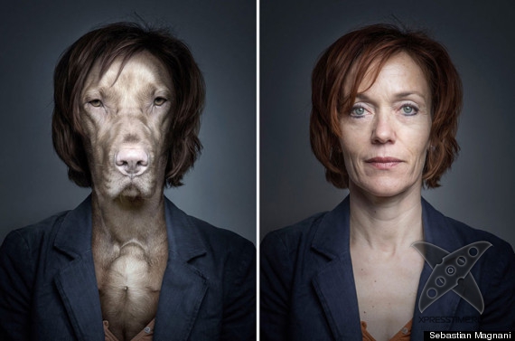 Собаки и их хозяева