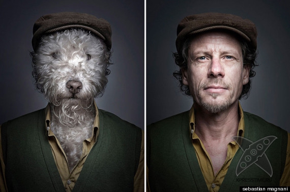 Собаки и их хозяева