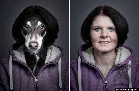 Собаки и их хозяева