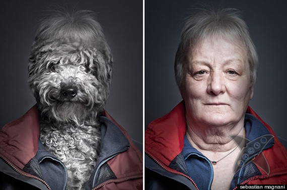 Собаки и их хозяева