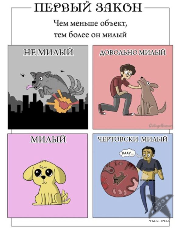 Законы милости