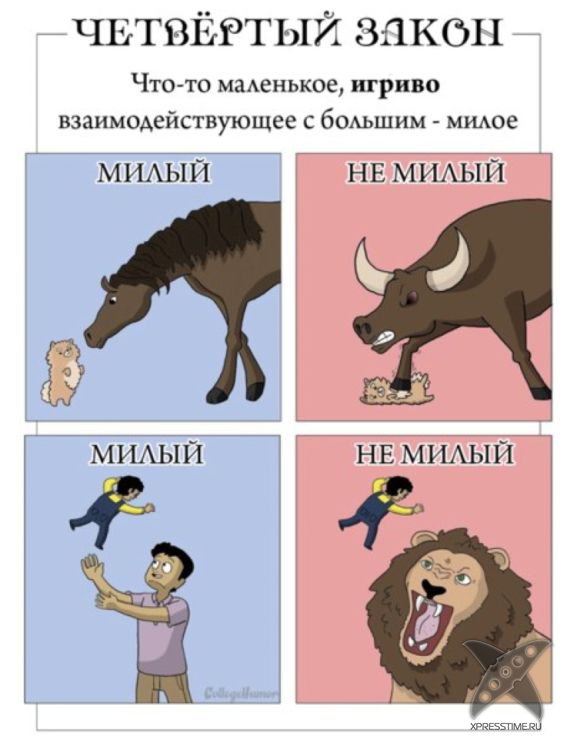 Законы милости