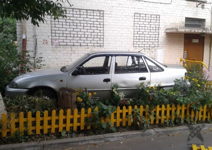 Я паркуюсь где хочу