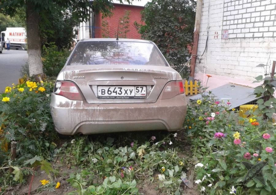 Я паркуюсь где хочу