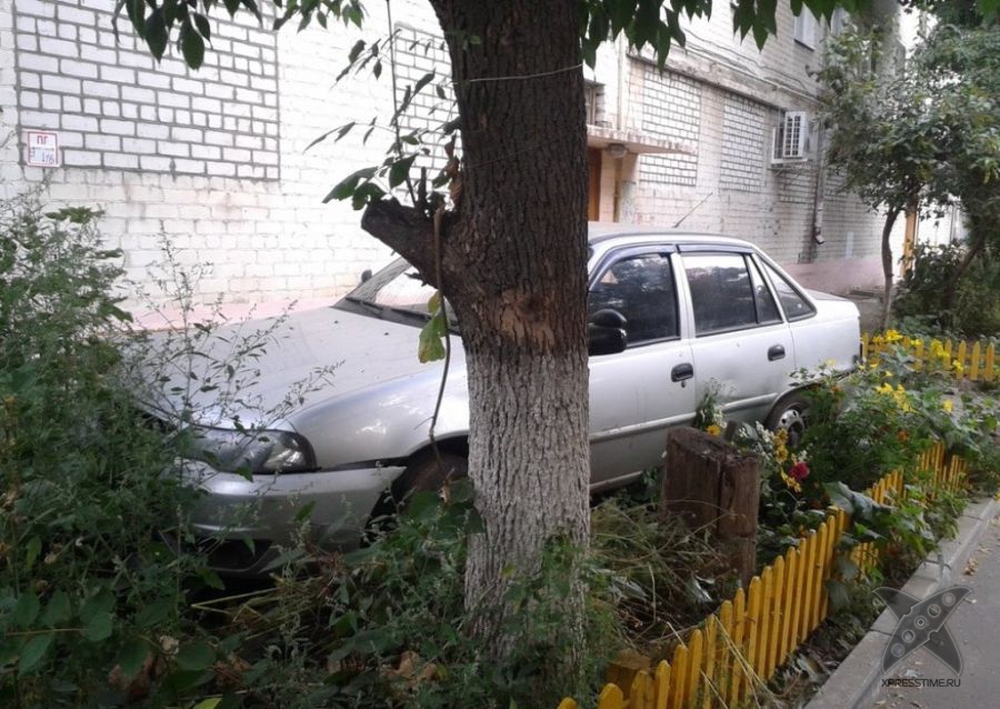 Я паркуюсь где хочу