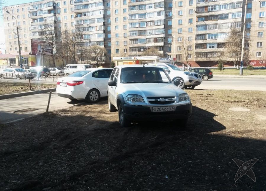 Я паркуюсь где хочу