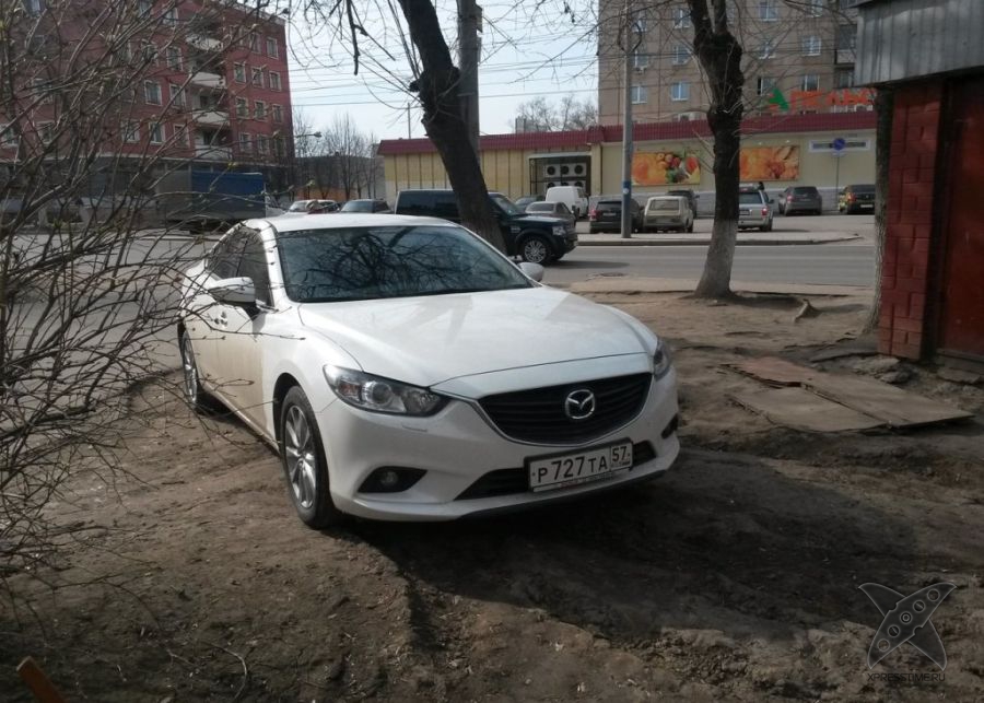 Я паркуюсь где хочу