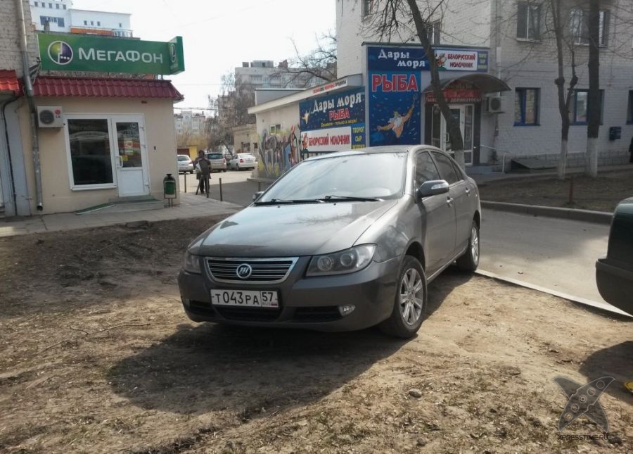 Я паркуюсь где хочу