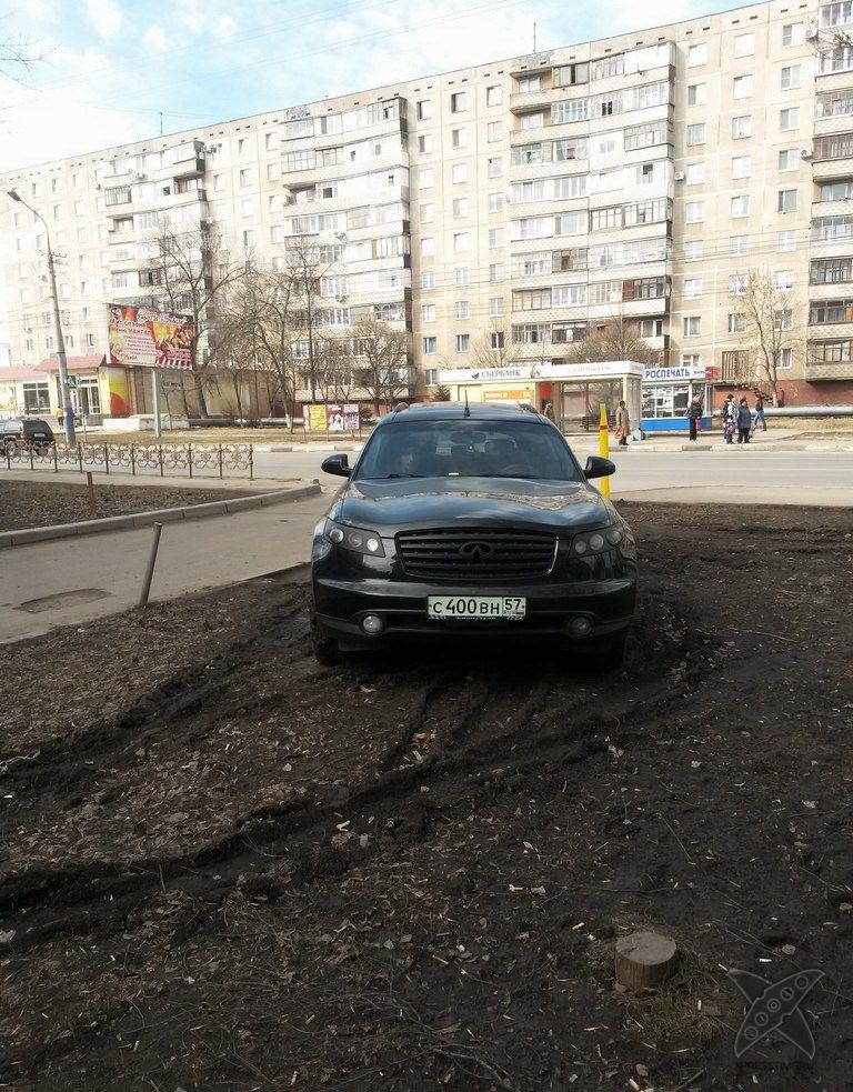 Я паркуюсь где хочу