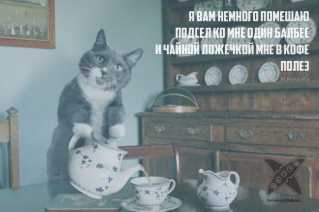 Необычные рифмы