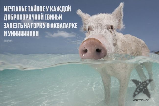 Необычные рифмы