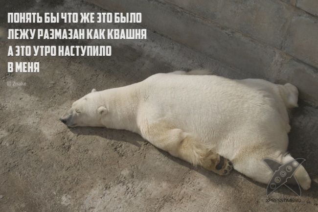 Необычные рифмы