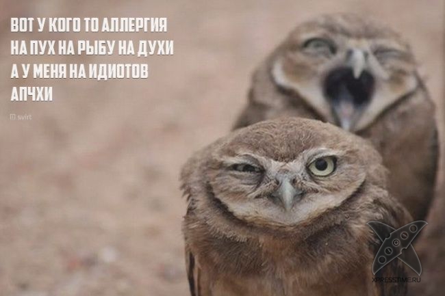 Необычные рифмы