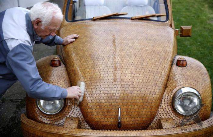 Деревянный Beetle