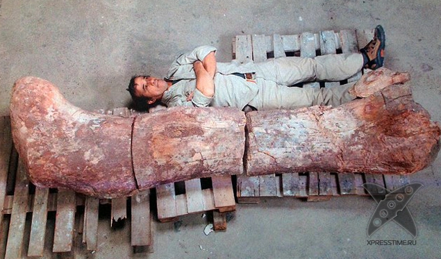 Титанозавр