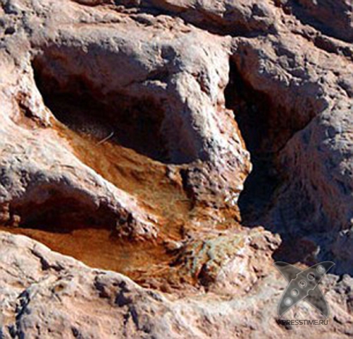 Титанозавр