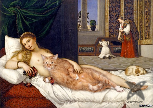 Толстый кот вторгся в классическое искусство