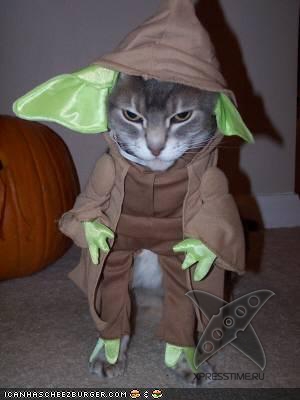 Животные в костюмах героев Звездных войн