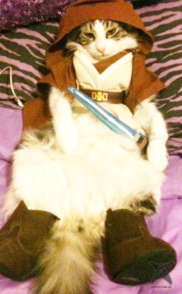 Животные в костюмах героев Звездных войн