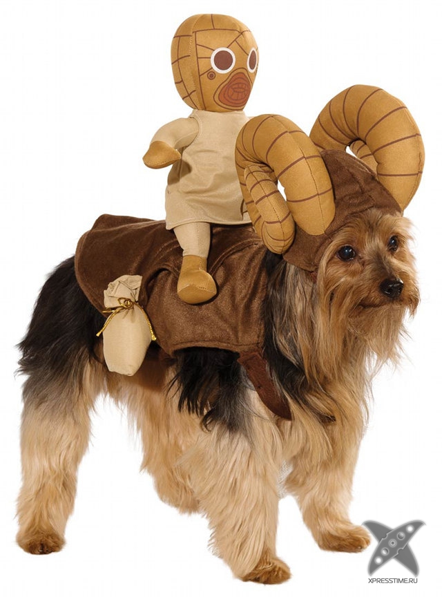 Животные в костюмах героев Звездных войн